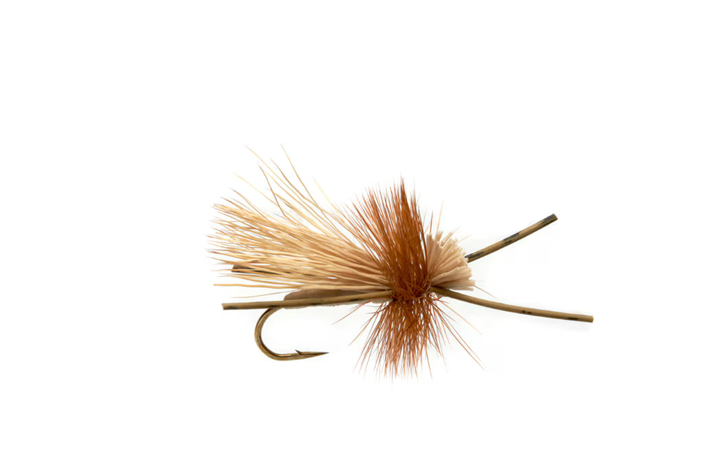 Caddis Fly Pattern