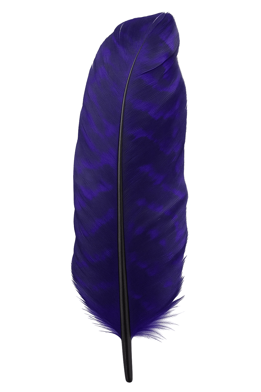 Turkey Quill - Dyed Purple - Spawn Fly Fish - Spawn Fly Fish