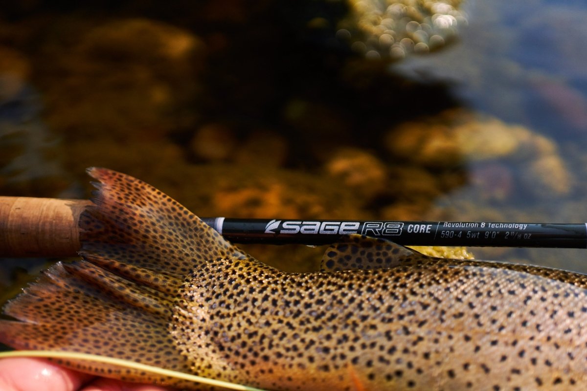 Sage R8 CORE Fly Rod - Spawn Fly Fish - Sage