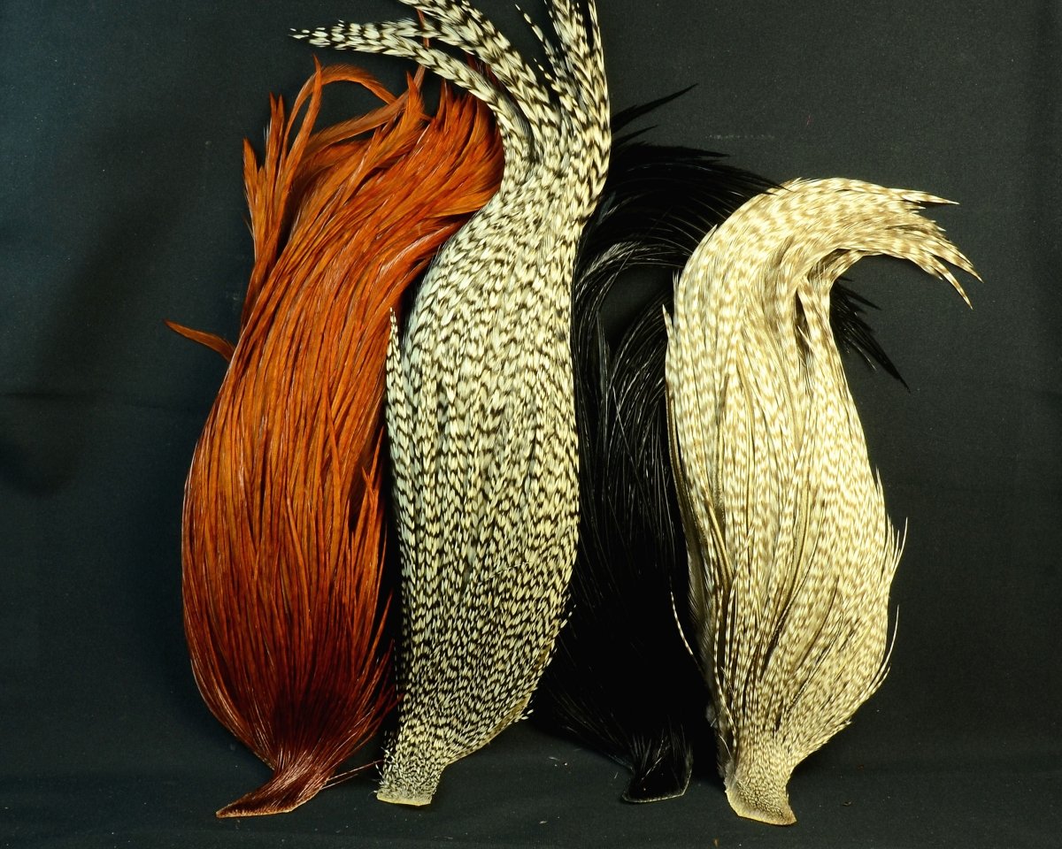 Whiting Farms Introductory Hackle Pack - Spawn Fly Fish - Whiting Farms