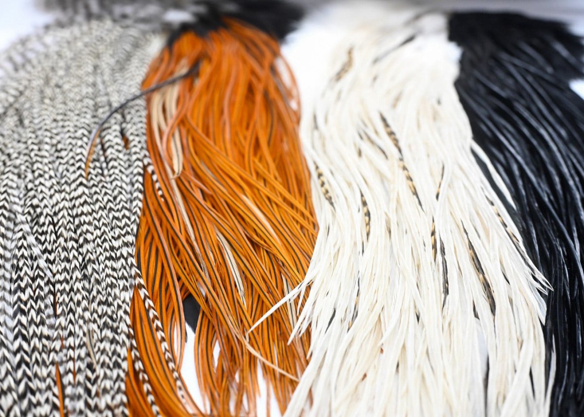 Whiting Farms Introductory Hackle Pack - Four Half Saddles - Spawn Fly Fish - Whiting Farms