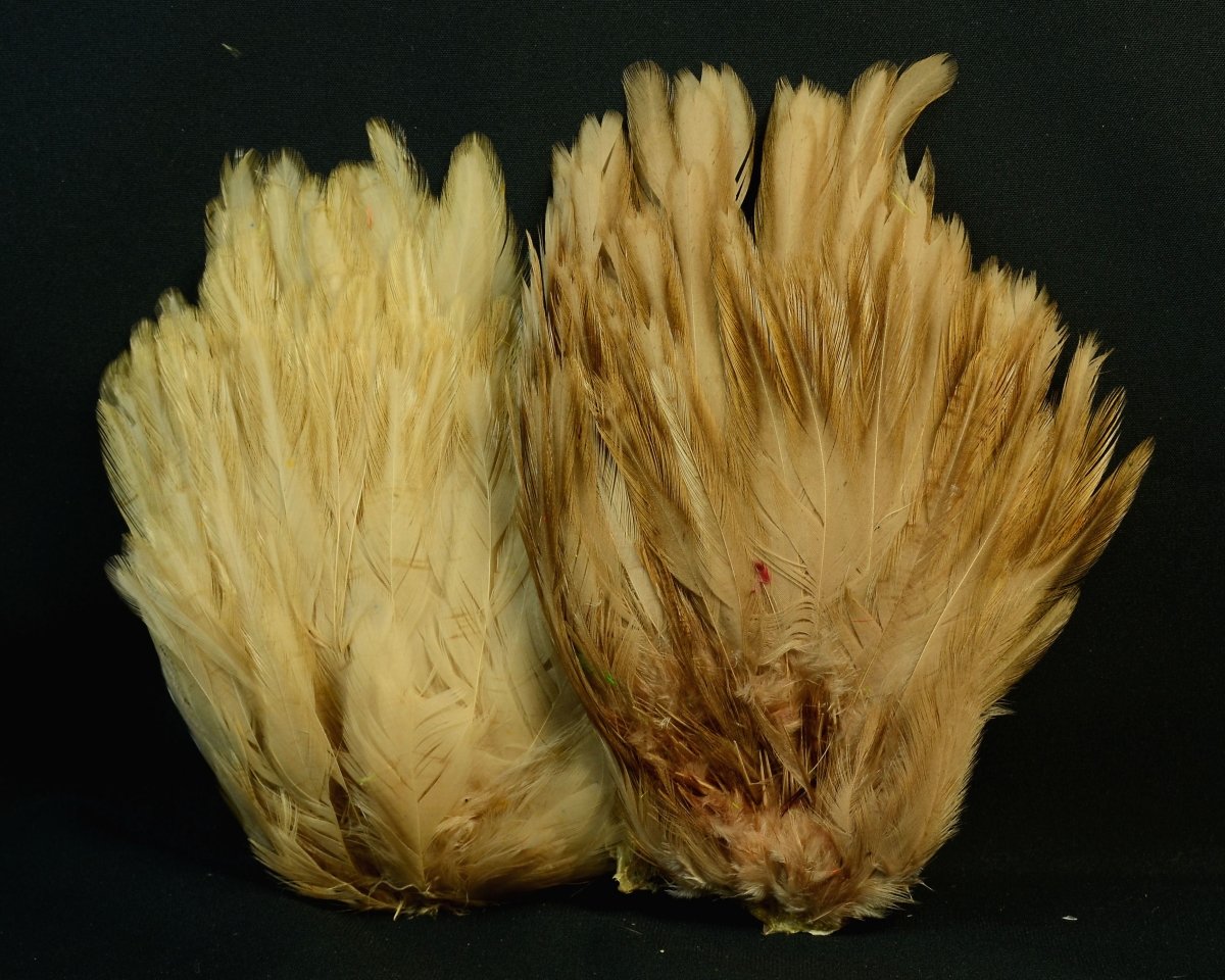 Whiting Farms American Streamer Pack - Spawn Fly Fish - Whiting Farms