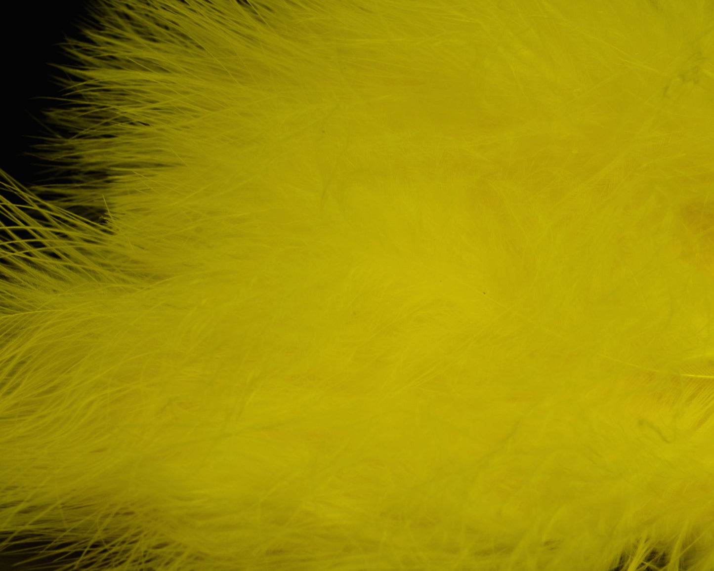 Hareline Marabou Strung Blood Quills - Spawn Fly Fish - Hareline Dubbin