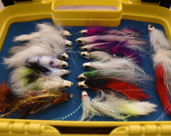Cliff Bugger Beast Jr. Fly box - Spawn Fly Fish - Cliff Outdoors