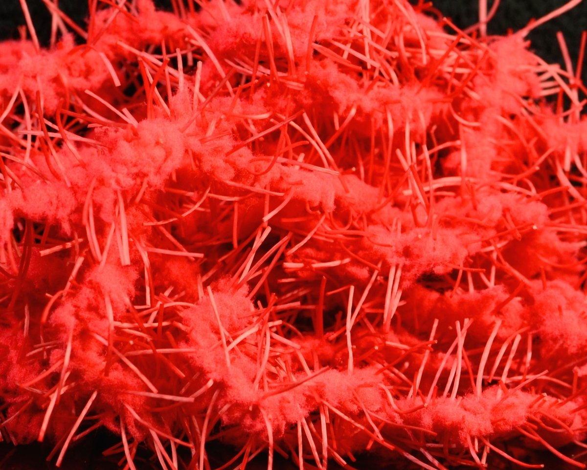 FNF Creeper Chenille - Spawn Fly Fish - FNF