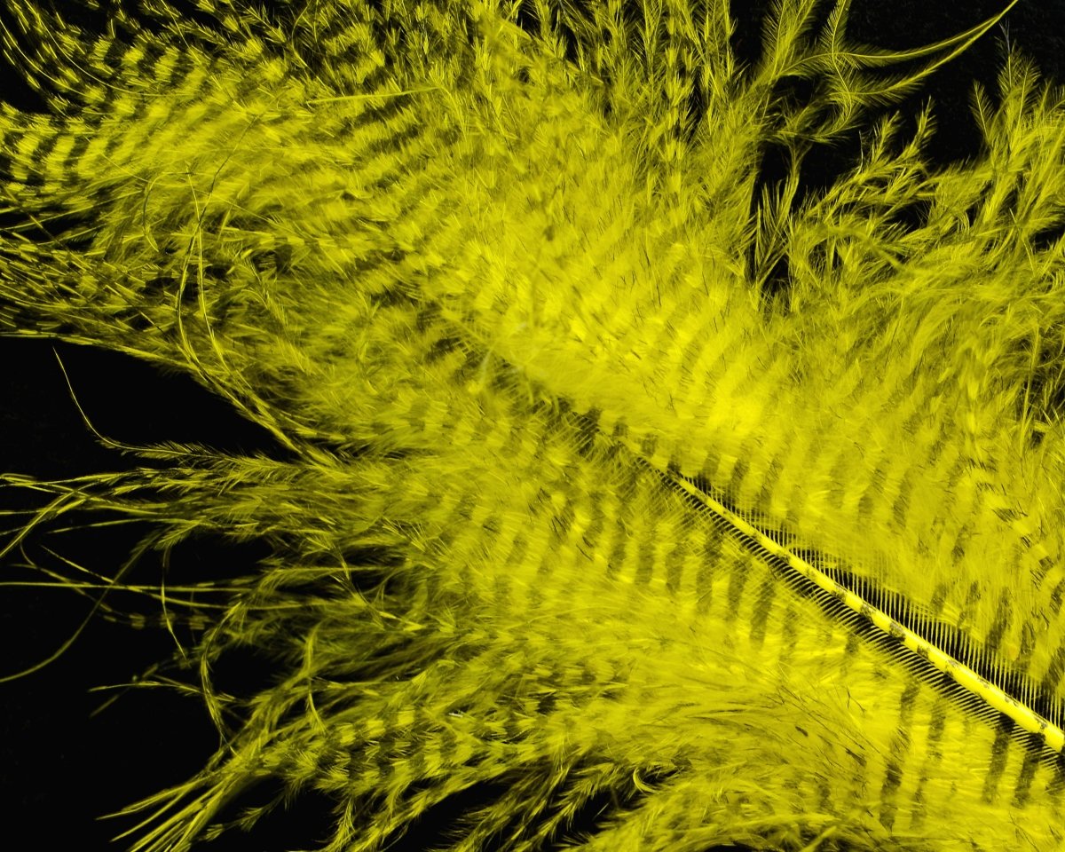 Hareline Fine Black Barred Marabou Feathers - Spawn Fly Fish - Hareline Dubbin