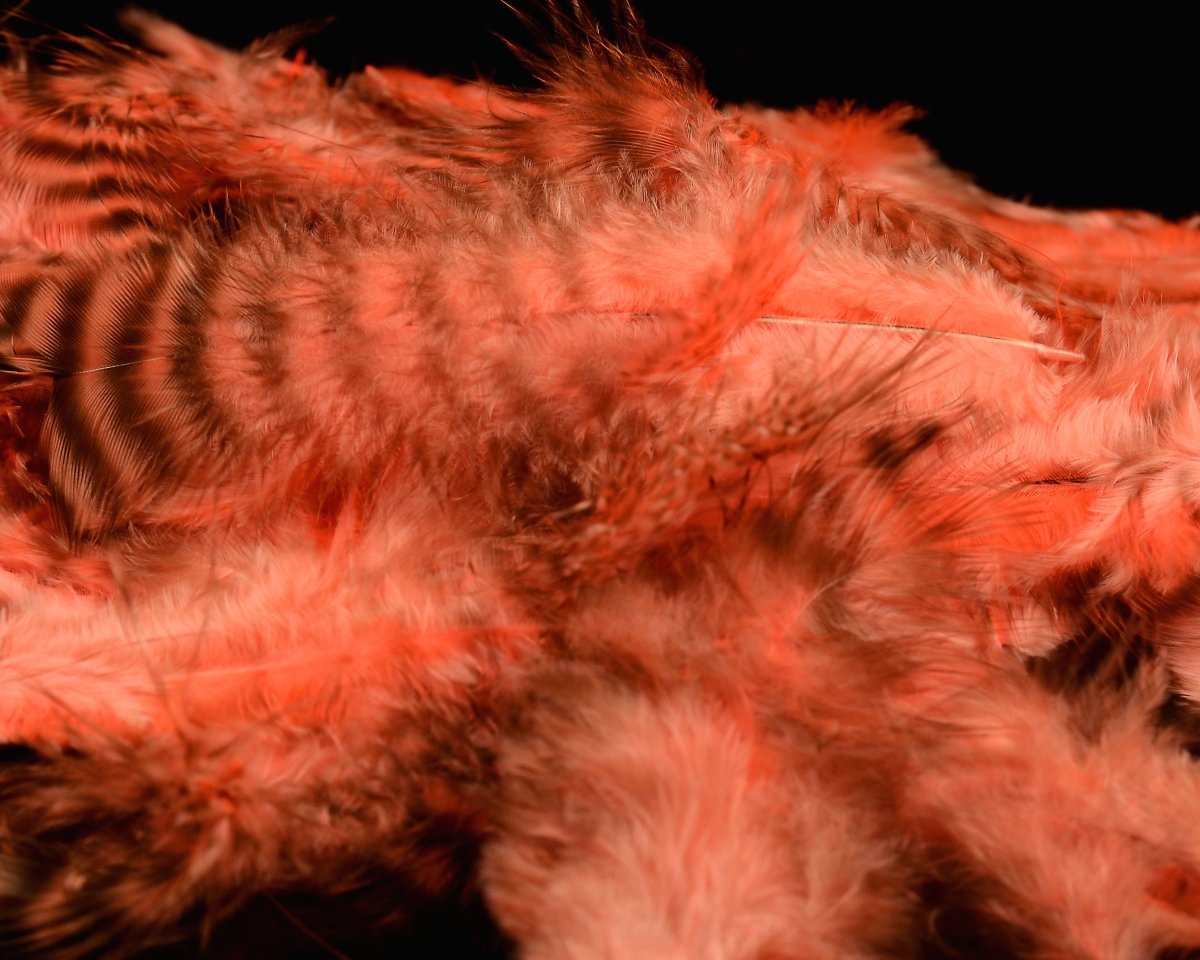 Hareline Grizzly Soft Hackle - Spawn Fly Fish - Hareline Dubbin