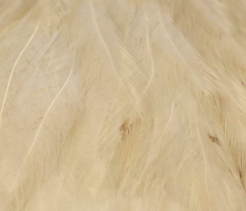 Hareline Hen Cape - Spawn Fly Fish - Hareline Dubbin