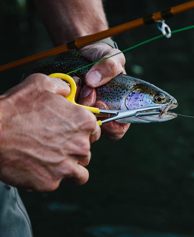 Loon Classic Forceps - Spawn Fly Fish - Loon Outdoors