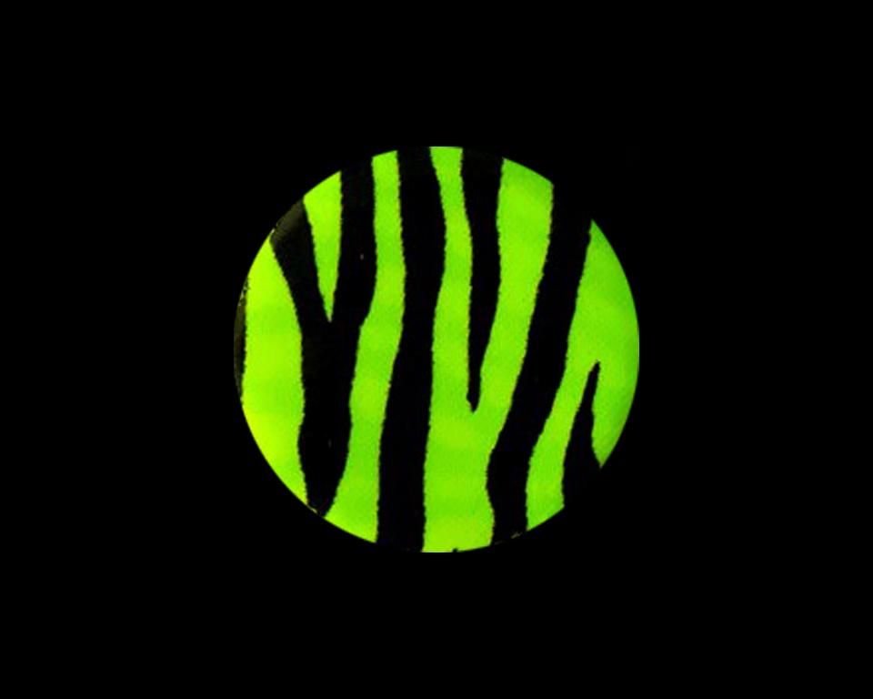 Fishon Pacchiarini's Waterpushing Discs - Spawn Fly Fish - Fishon