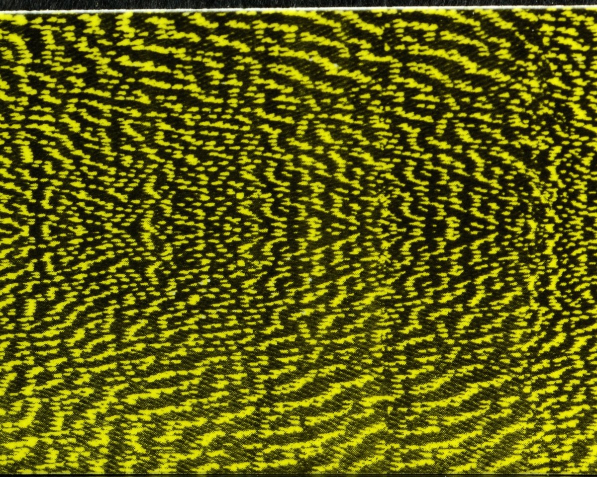 Wapsi Thin Skin Mottled Bustard - Spawn Fly Fish - Wapsi