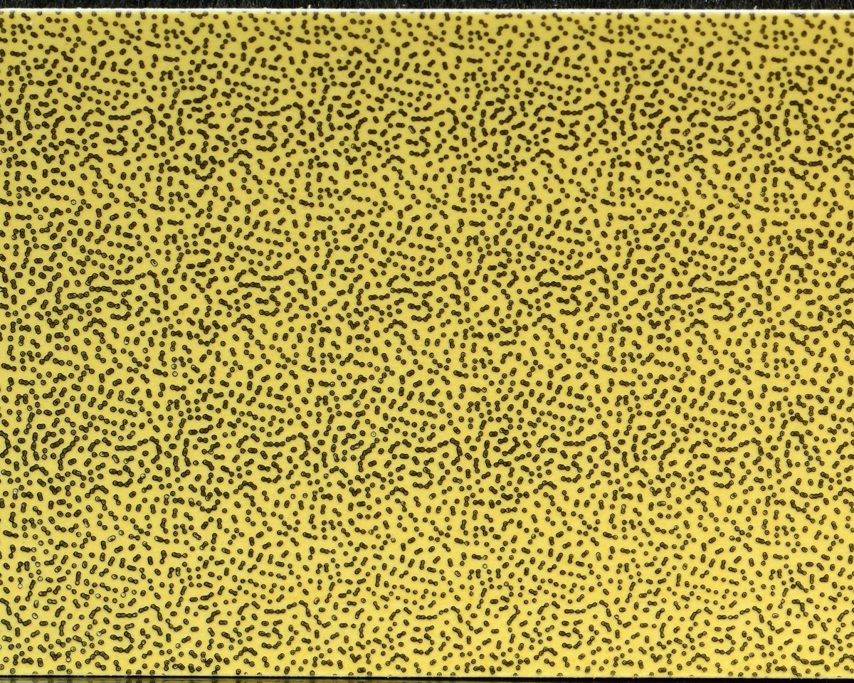 Wapsi Thin Skin Fly Specks - Spawn Fly Fish - Wapsi