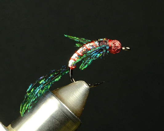 Alexandra Warrior - Fly Tying Tutorial - Spawn Fly Fish