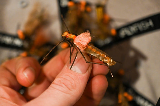 Best Flies For the - 2023 Salmonfly Hatch - Spawn Fly Fish
