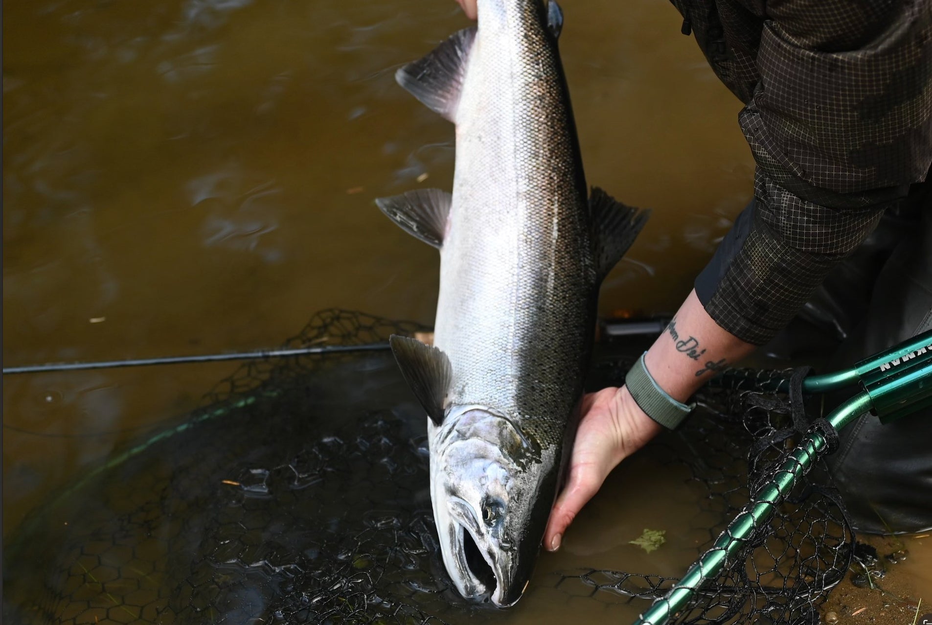 Best Fly Rods for Salmon Fishing Spawn Fly Fish Top Picks