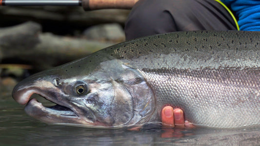 Best Online Fly Shop Reddit - Spawn Fly Fish
