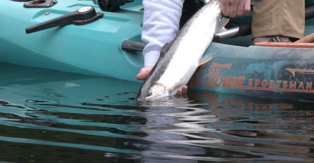 CONFIRMED Black Lake in Ilwaco, Washington, Stocked with 100 Winter Steelhead