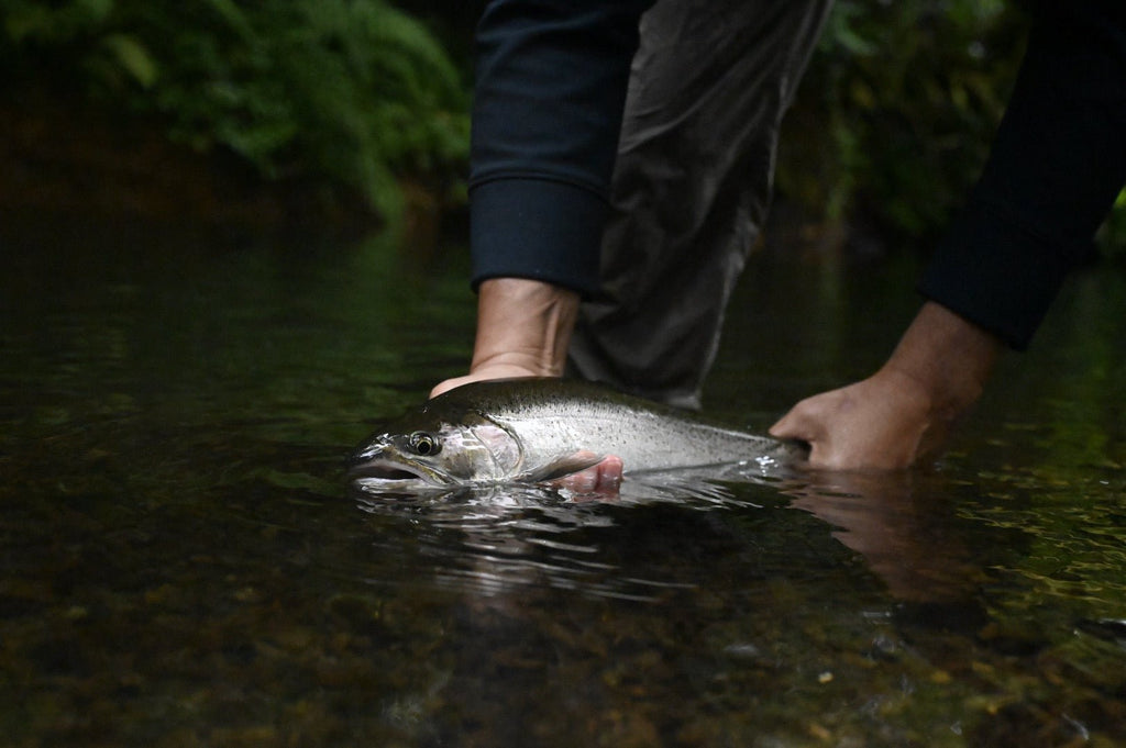 Cutthroat Season is Winding Down, but Excitement is Just Beginning!