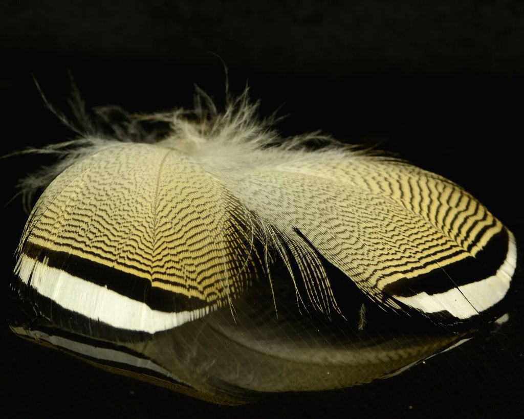 Dive into Tradition: Exciting New Additions to Spawn Fly Fish's Duck Feather Collection