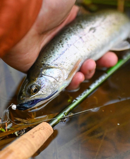 Echo Boost Fresh Fly Rod - Review