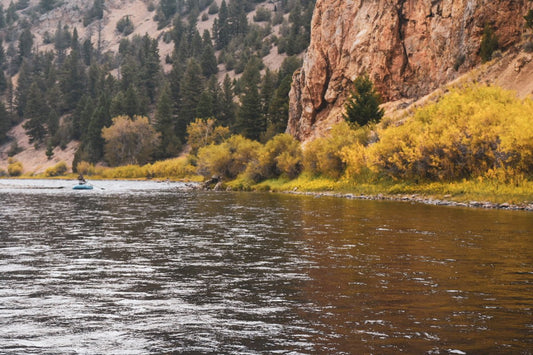 Ultimate Guide to Fall Fly Fishing: Tips & Tricks - Spawn Fly Fish
