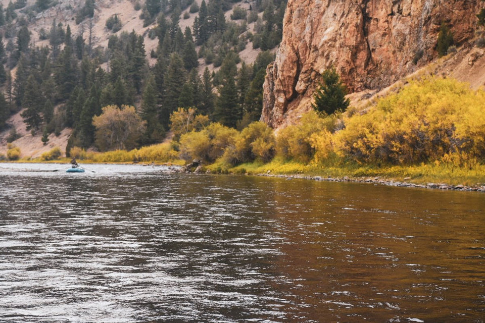 Fall Fishing