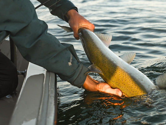 Fly Fishing Buoy 10 - A Columbia River Adventure - Spawn Fly Fish