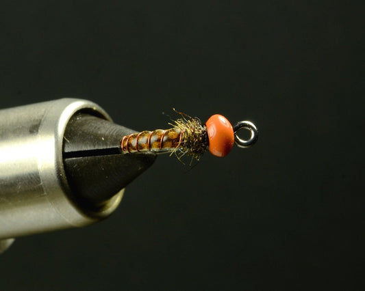 Grubby Larva - Fly Tying Step By Step - Spawn Fly Fish