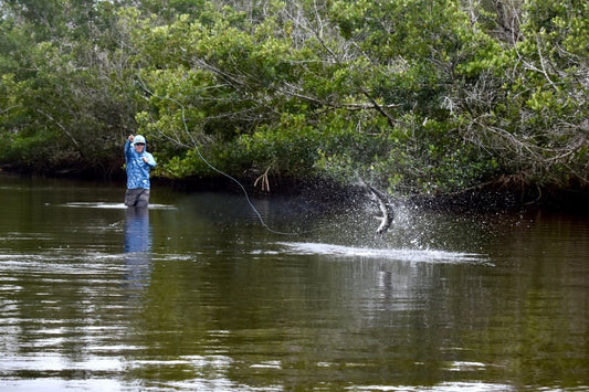 Pull Time Diver- Diver Fly For Fly Fishing - Spawn Fly Fish