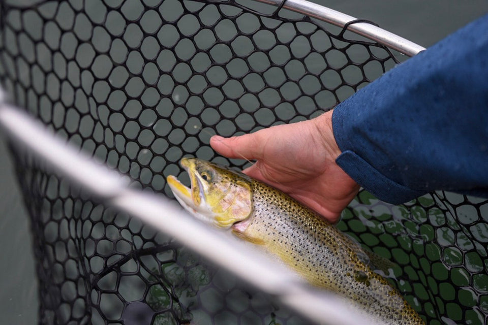 Sea Run Cutthroat Fishing: Challenging the Tide Rules