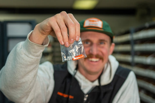 Spawn Fly Fish Shop Update - Feb 2, 2023 - Spawn Fly Fish
