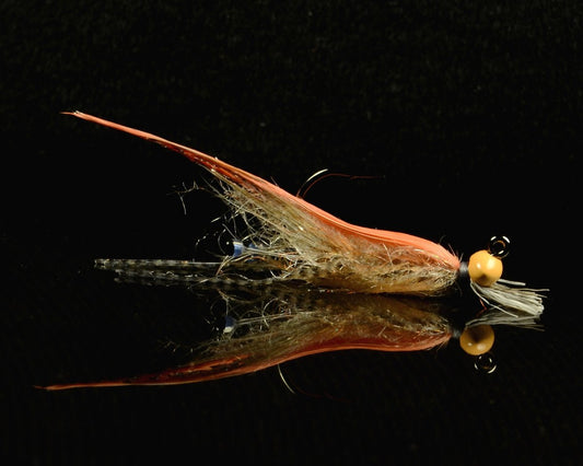 Soft Top Shrimp Step by Step! - Spawn Fly Fish