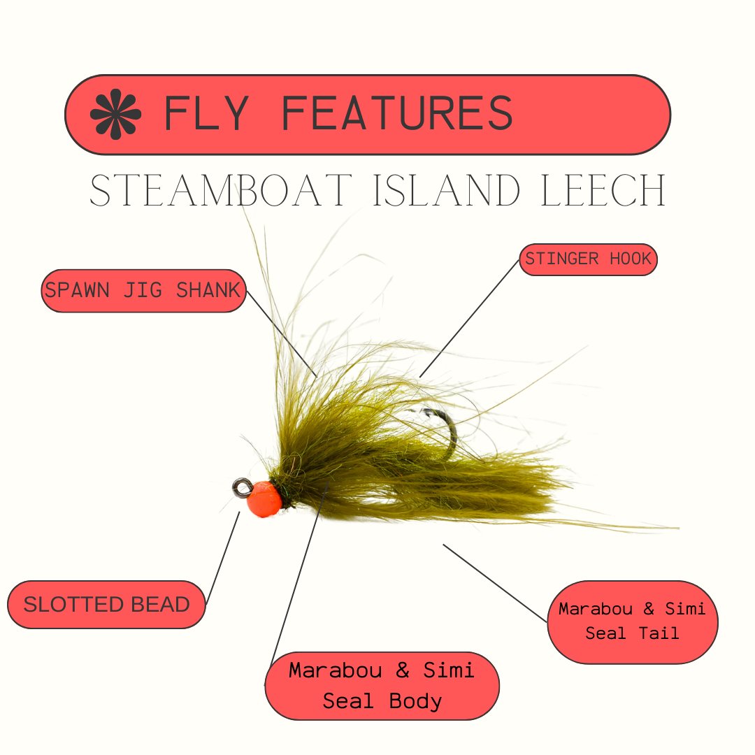 String Leech Fly Pattern The Versatile Steamboat Island Leech Fly Pattern – Spawn Fly Fish