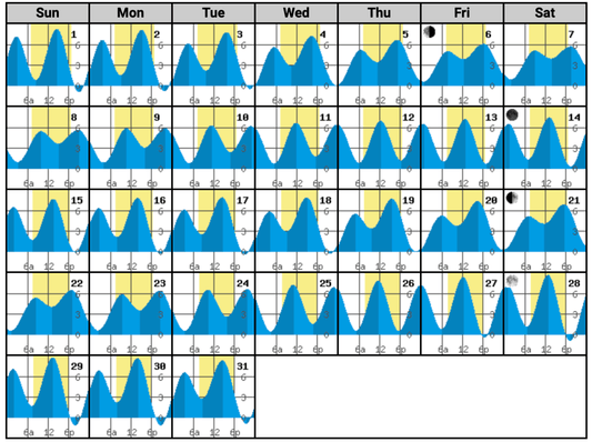 Tide Terminology - Everything you need to know - Spawn Fly Fish