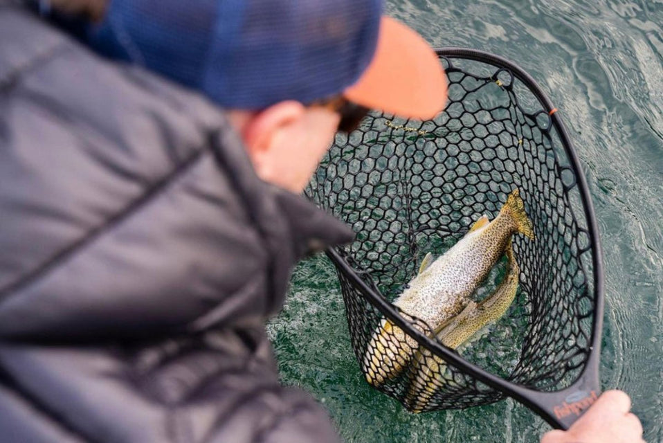 Top 5 fall flies for Sea Run Cutthroat-From Guest Captain Cole Leishman