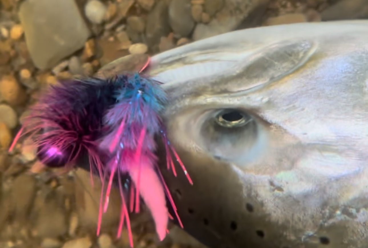 Tying Jigs: What Materials do you need? – Spawn Fly Fish