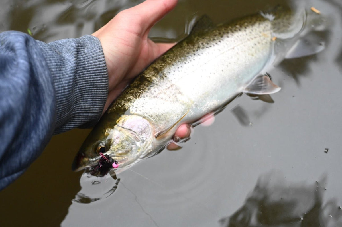 Unlocking the Depths: Targeting Sea-Run Cutthroat in Rivers– Spawn Fly Fish