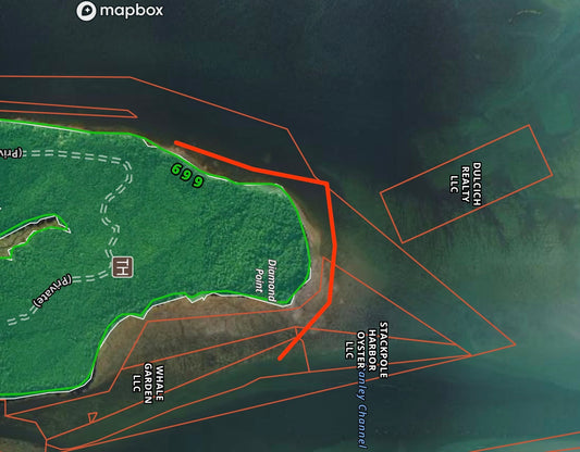 Unlocking the Mystery of Willapa Bay: Chasing the Chum Fry - Spawn Fly Fish