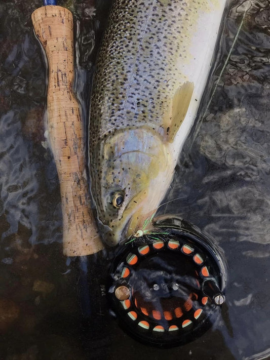 Weak Enders - Guest Writer - Jeffery Delia - Spawn Fly Fish