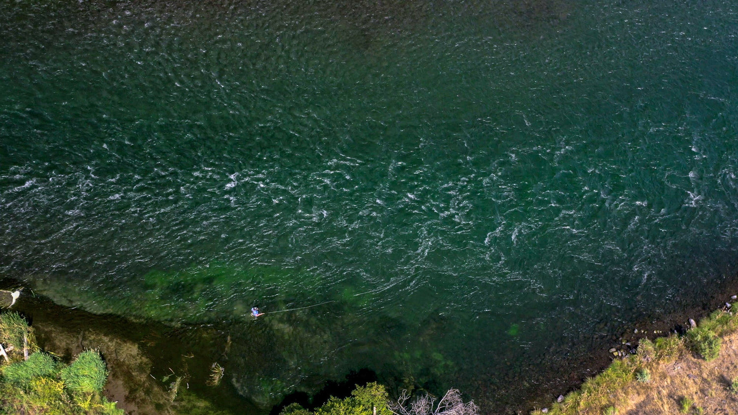 Outlet Deals - Spawn Fly Fish