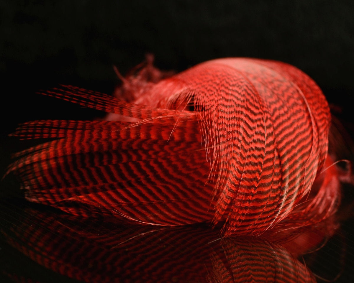 Fly Tying Feathers - Spawn Fly Fish