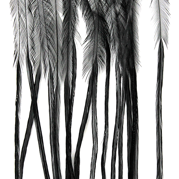 Whiting Farms 100 Saddle Hackle Pack - Spawn Fly Fish - Whiting Farms