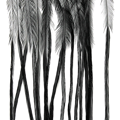 Whiting Farms 100 Saddle Hackle Pack - Spawn Fly Fish - Whiting Farms