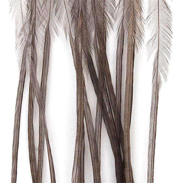 Whiting Farms 100 Saddle Hackle Pack - Spawn Fly Fish - Whiting Farms