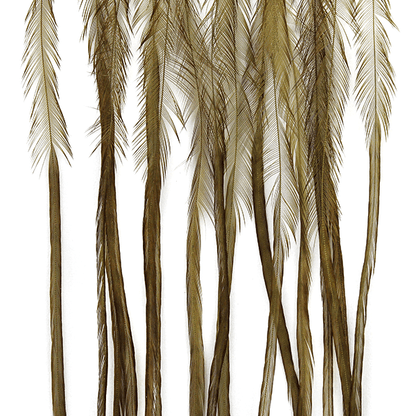 Whiting Farms 100 Saddle Hackle Pack - Spawn Fly Fish - Whiting Farms