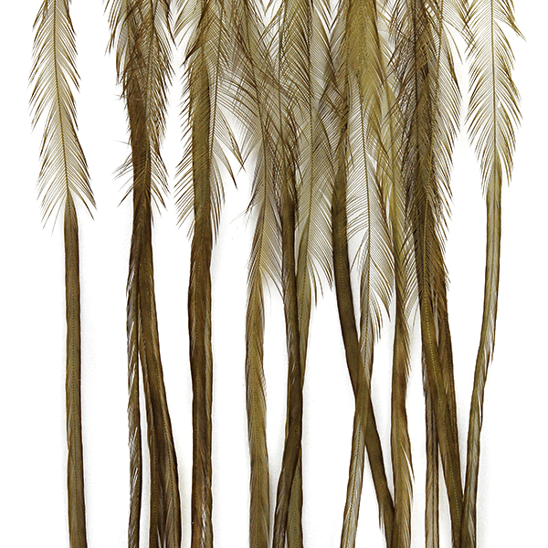 Whiting Farms 100 Saddle Hackle Pack - Spawn Fly Fish - Whiting Farms