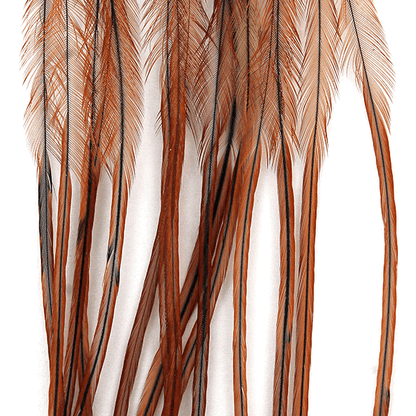 Whiting Farms 100 Saddle Hackle Pack - Spawn Fly Fish - Whiting Farms