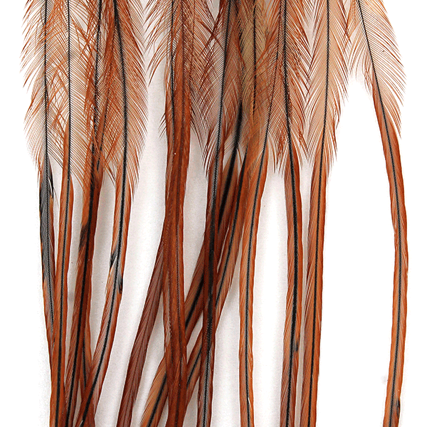 Whiting Farms 100 Saddle Hackle Pack - Spawn Fly Fish - Whiting Farms