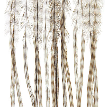 Whiting Farms 100 Saddle Hackle Pack - Spawn Fly Fish - Whiting Farms