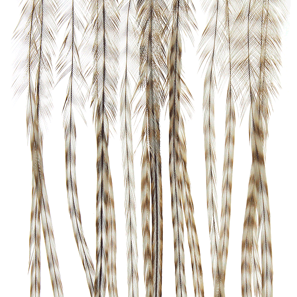 Whiting Farms 100 Saddle Hackle Pack - Spawn Fly Fish - Whiting Farms